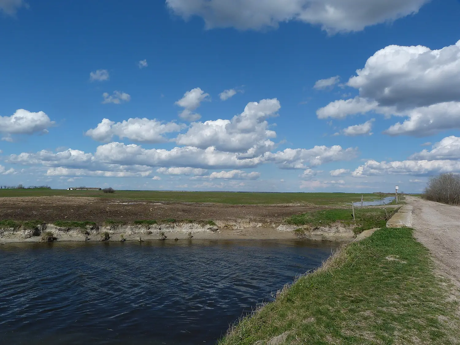 Apajpuszta, Kiskunsági Puszta - 2013.04.13 (11)