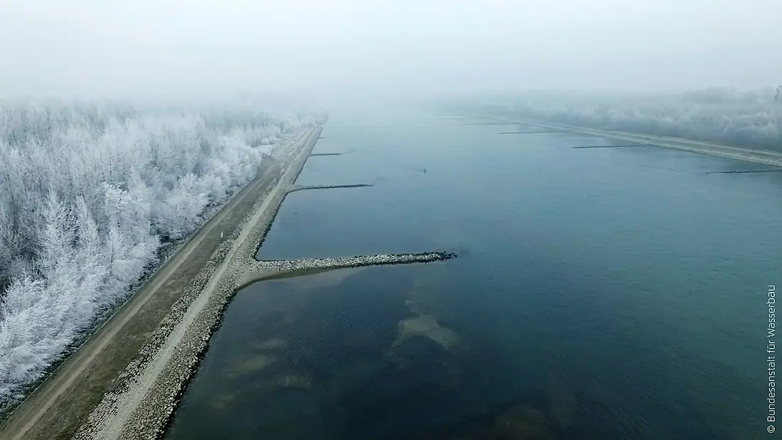 Der Oberrhein südlich von Karlsruhe (29617537088)