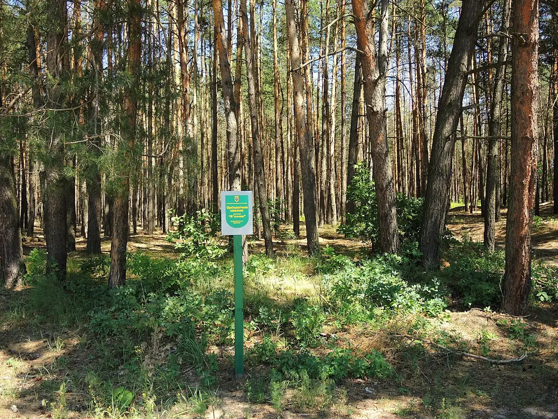 Viazove