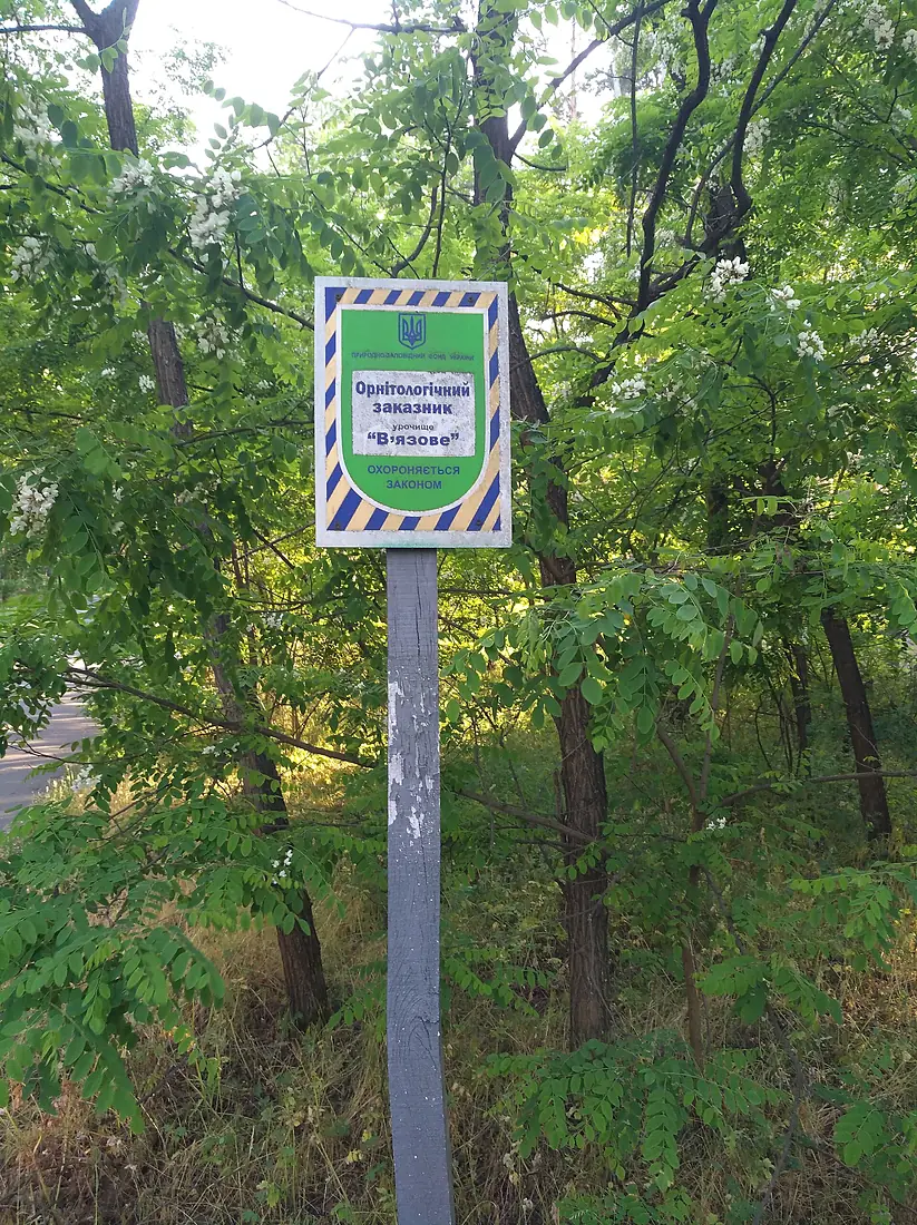 Vyazove 1