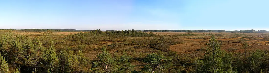 Nakyma Valkmusa