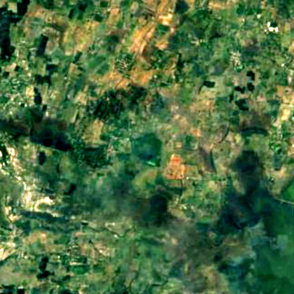 Vedanthangal Bird Sanctuary seen from above (Sentinel-2)