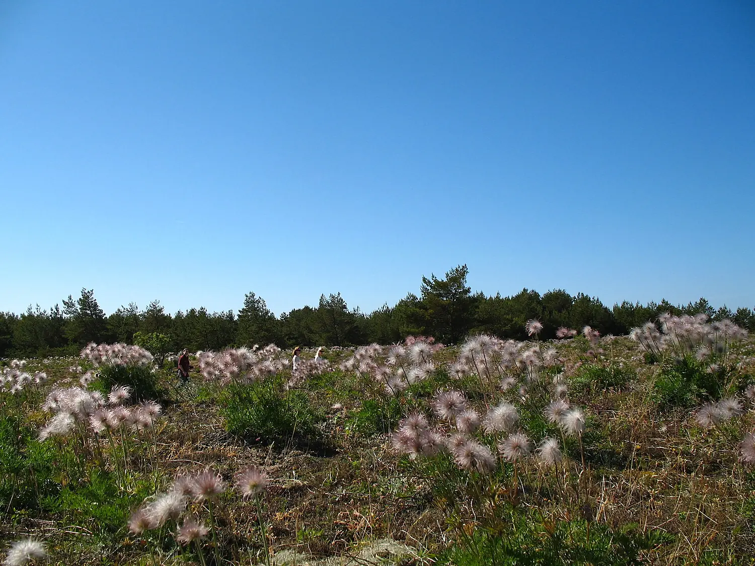 Vilsandi rahvuspark
