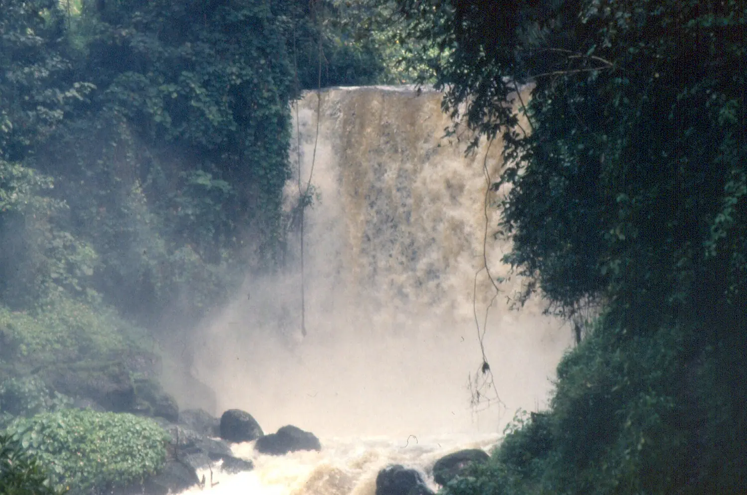 Virunga 01