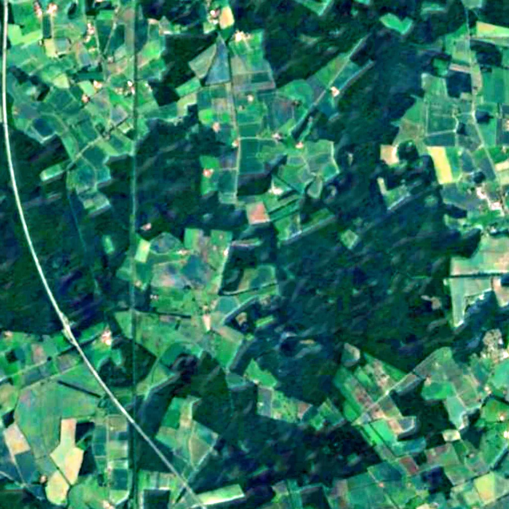 Vogelschutzgebiet Davert seen from above (Sentinel-2)