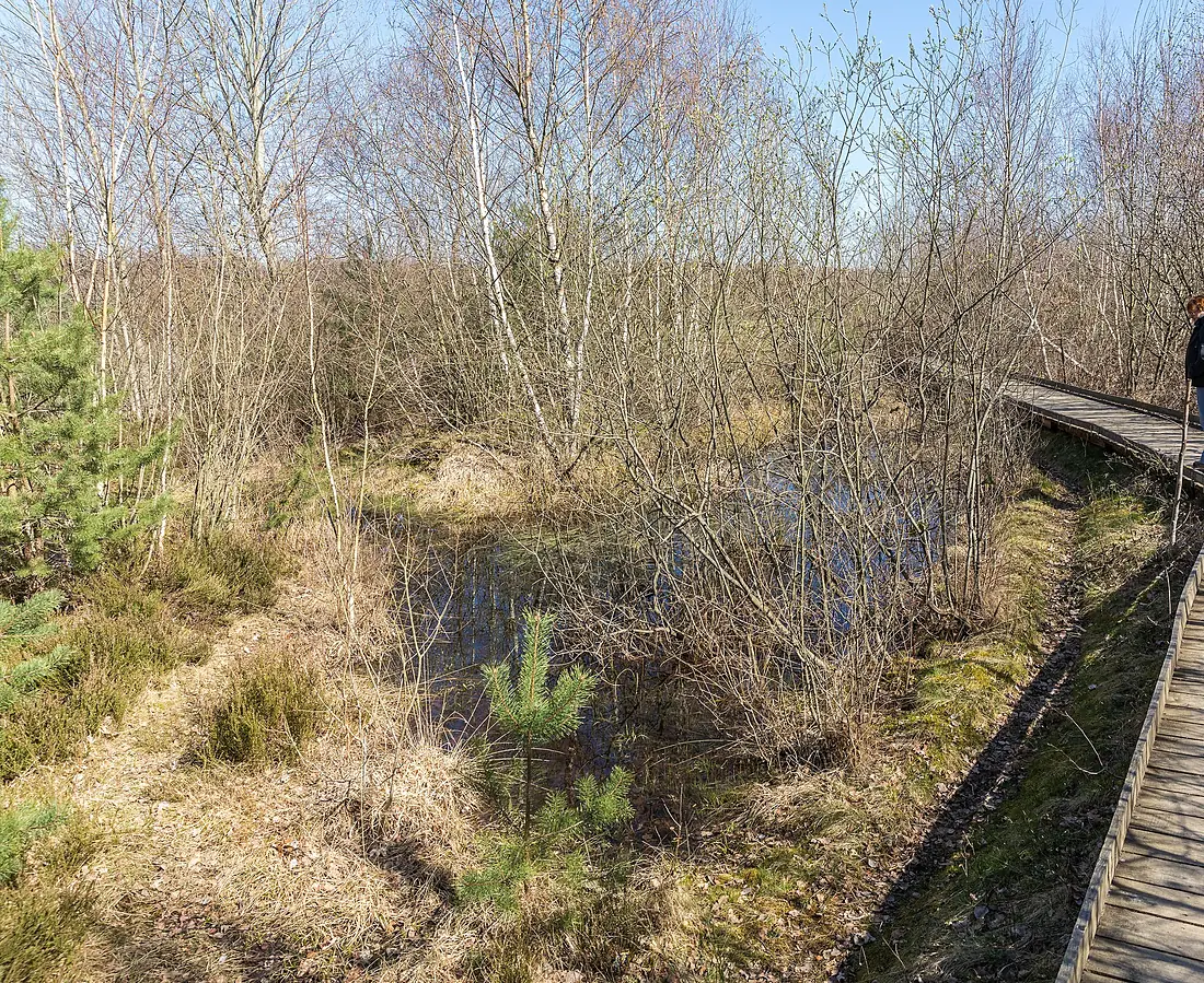 Drover Heide, Kreuzau, Kreis Düren Naturschutzgebiet-5982