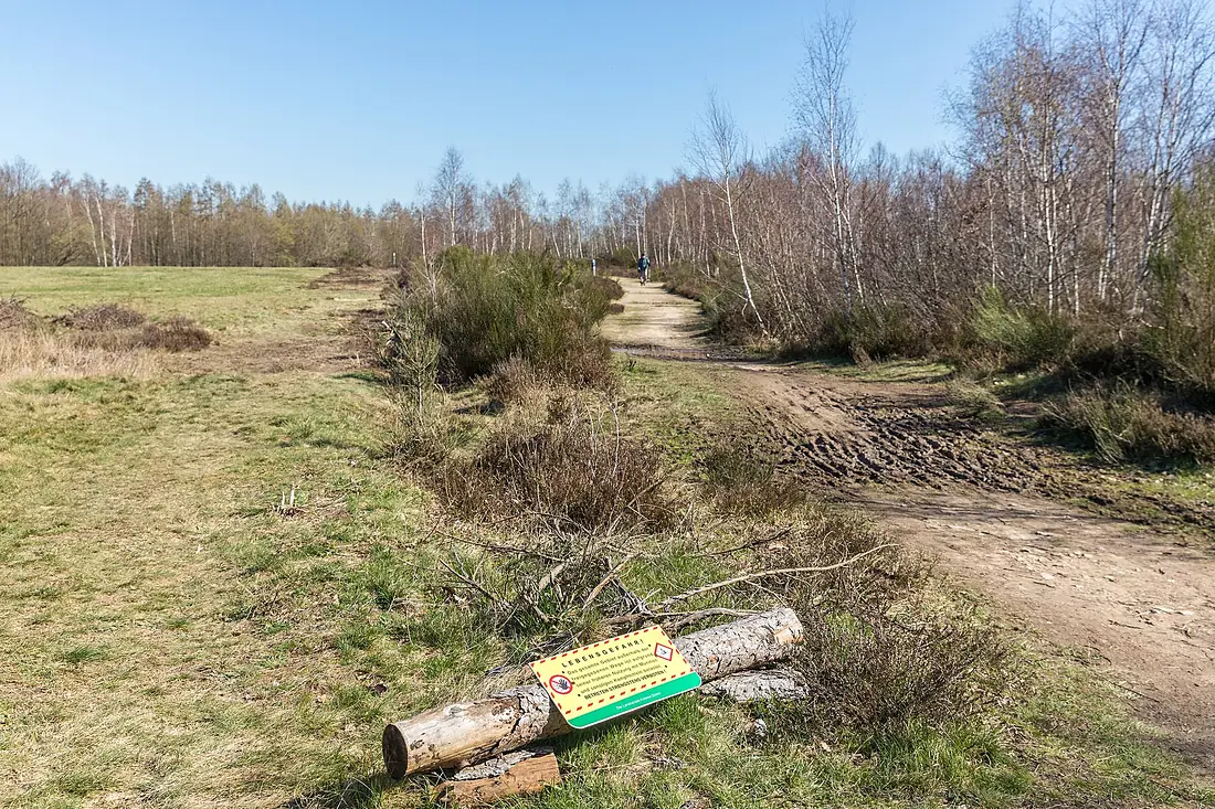 Drover Heide, Kreuzau, Kreis Düren Naturschutzgebiet-5983