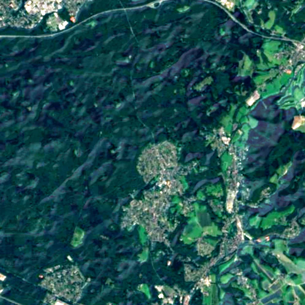 Vogelschutzgebiet Königsforst seen from above (Sentinel-2)