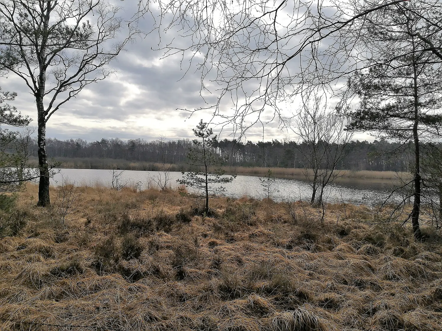 Lüntener Fischteich 20180330 104855