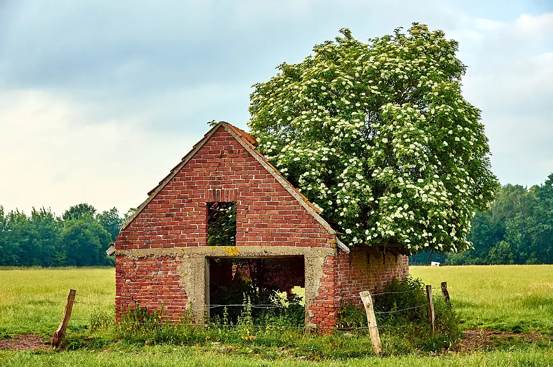 20150614 Scheune in Wennewick, Vreden (DSC00867)