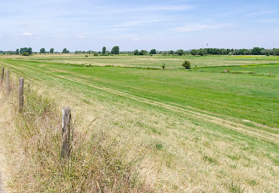 Rheinberg, Rheinvorland östlich von Wallach, 2020-06 CN-01