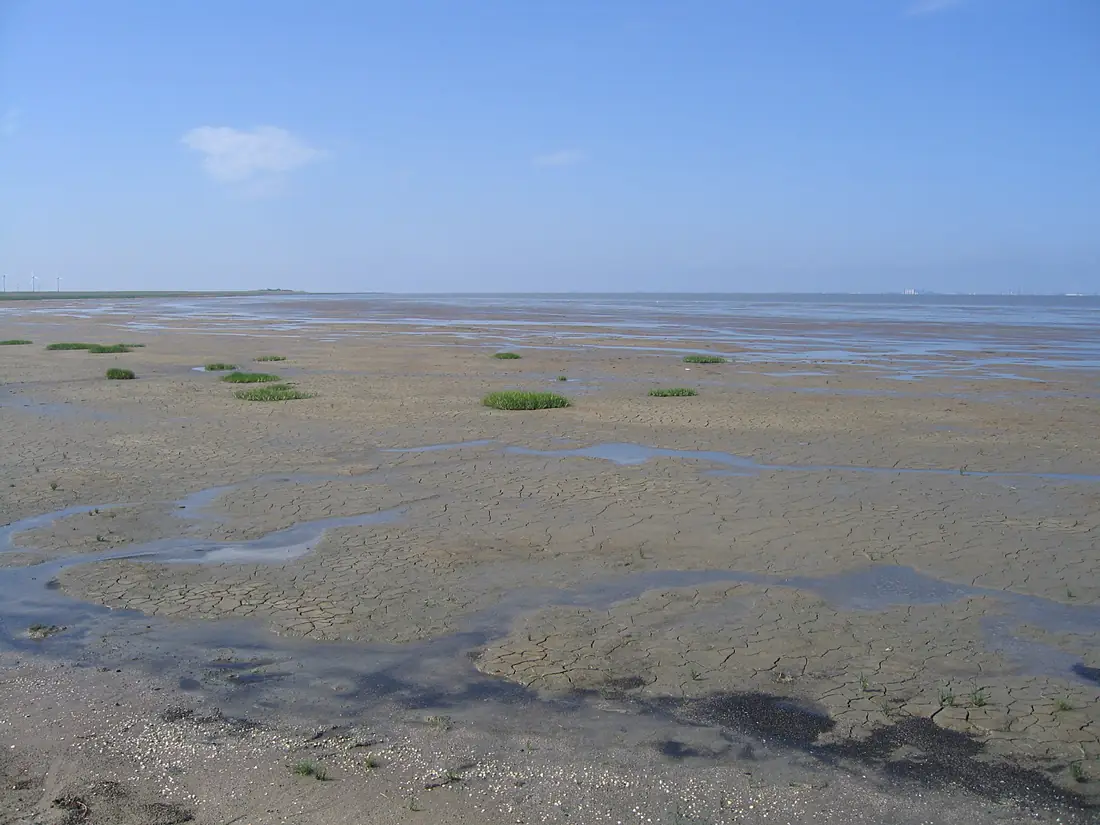 Pilsumer Watt from the Leyhörn 2