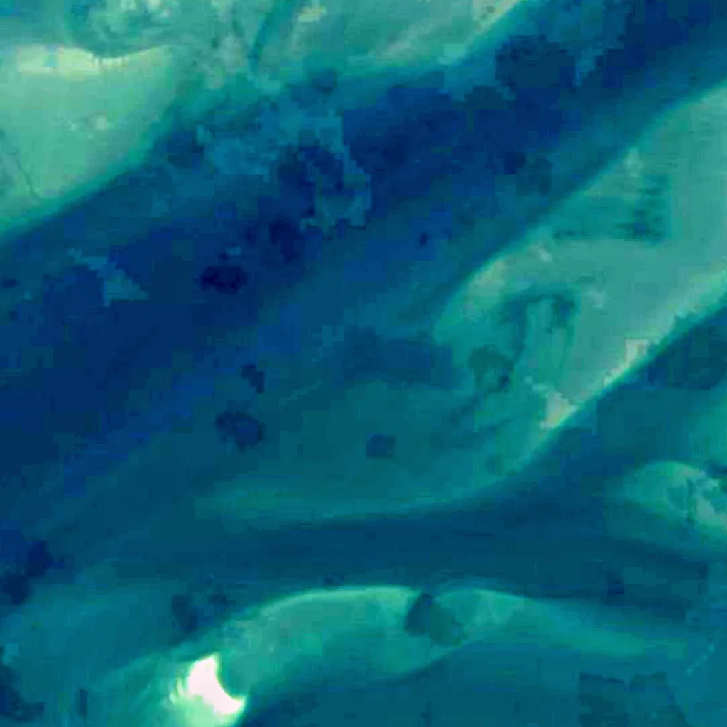 Wadden Sea National Parks seen from above (Sentinel-2)