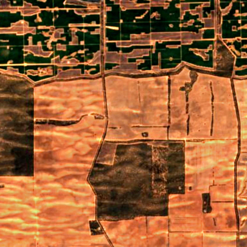 Wandown Important Bird Area seen from above (Sentinel-2)