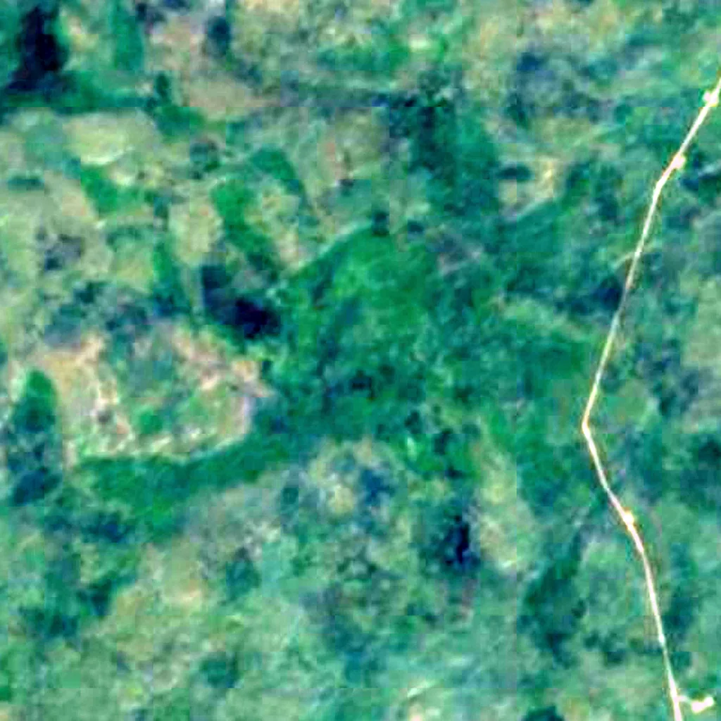 Nationalpark Wasur von oben gesehen (Sentinel-2)