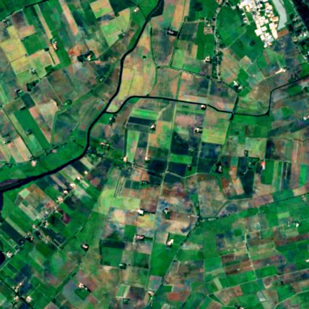 Westermarsch seen from above (Sentinel-2)