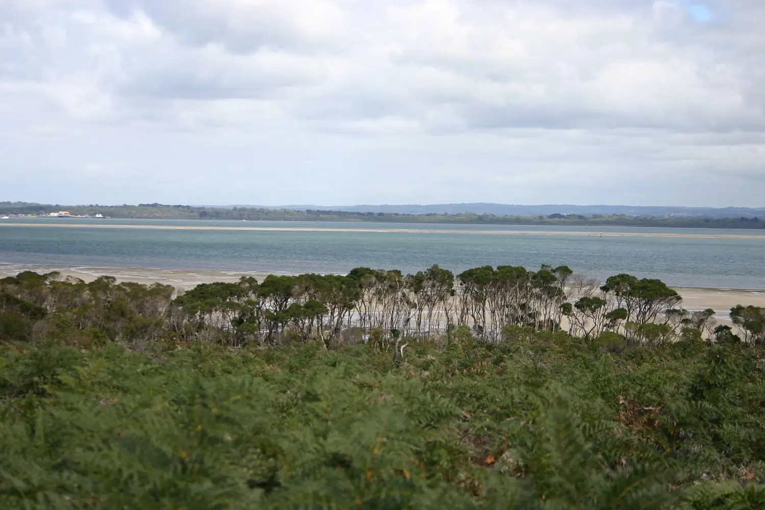 Western Port from French Is