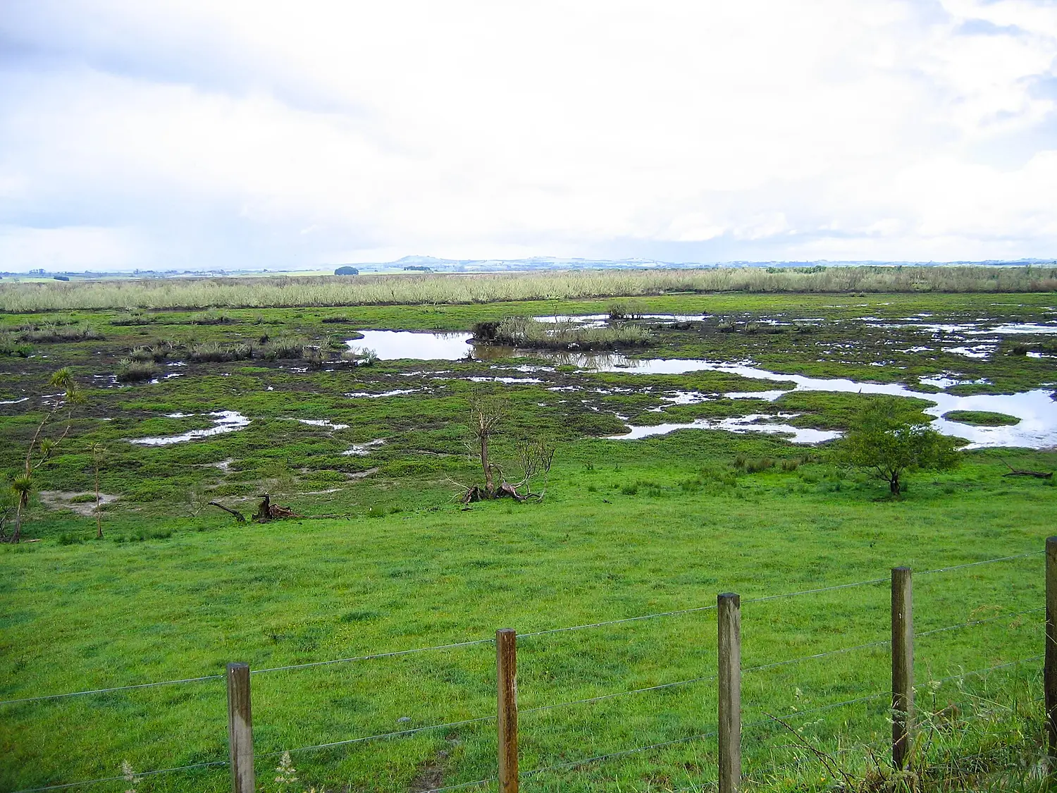 Whangamarino Wetland, Waikato, North Island