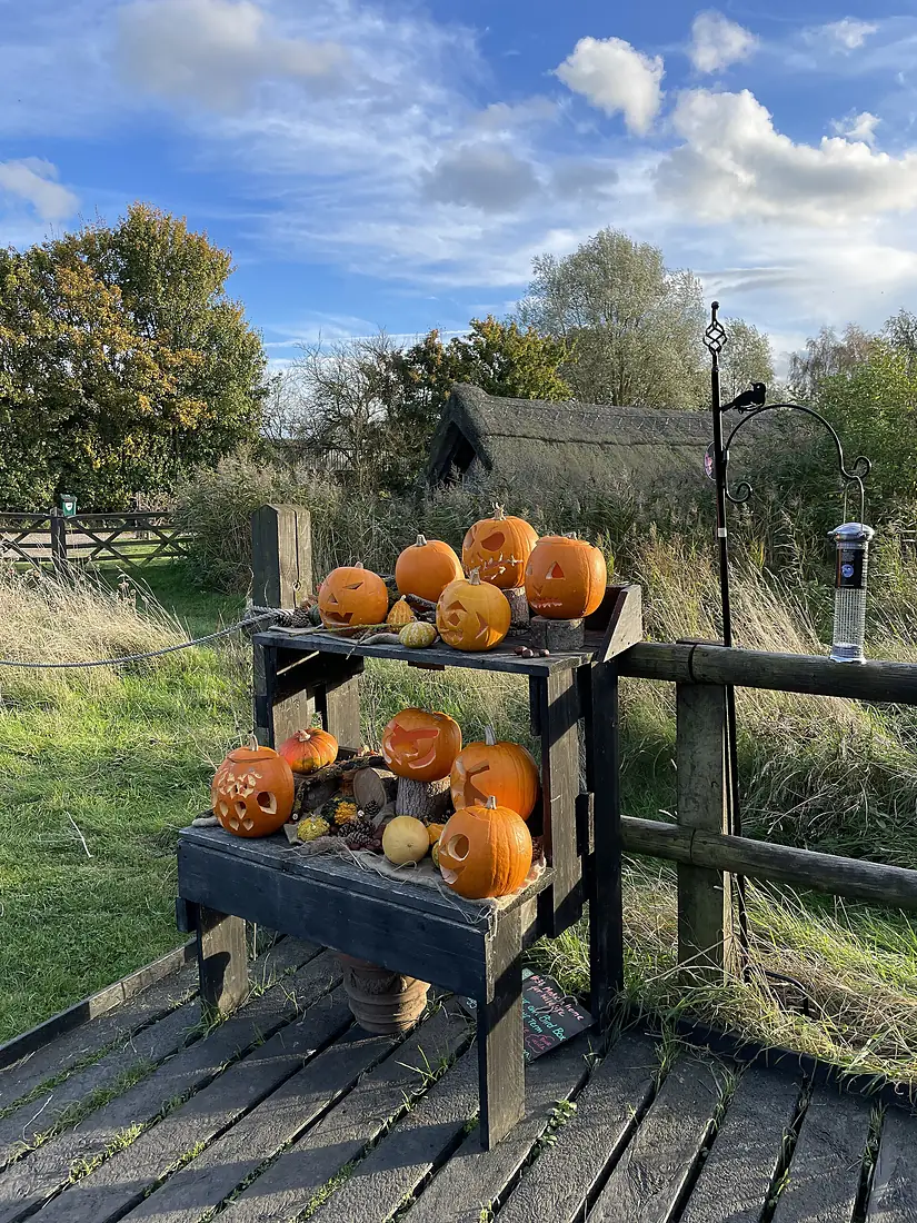 -2021-10-30 Jack-o'-lanterns, Wicken Fen, Cambridgeshire