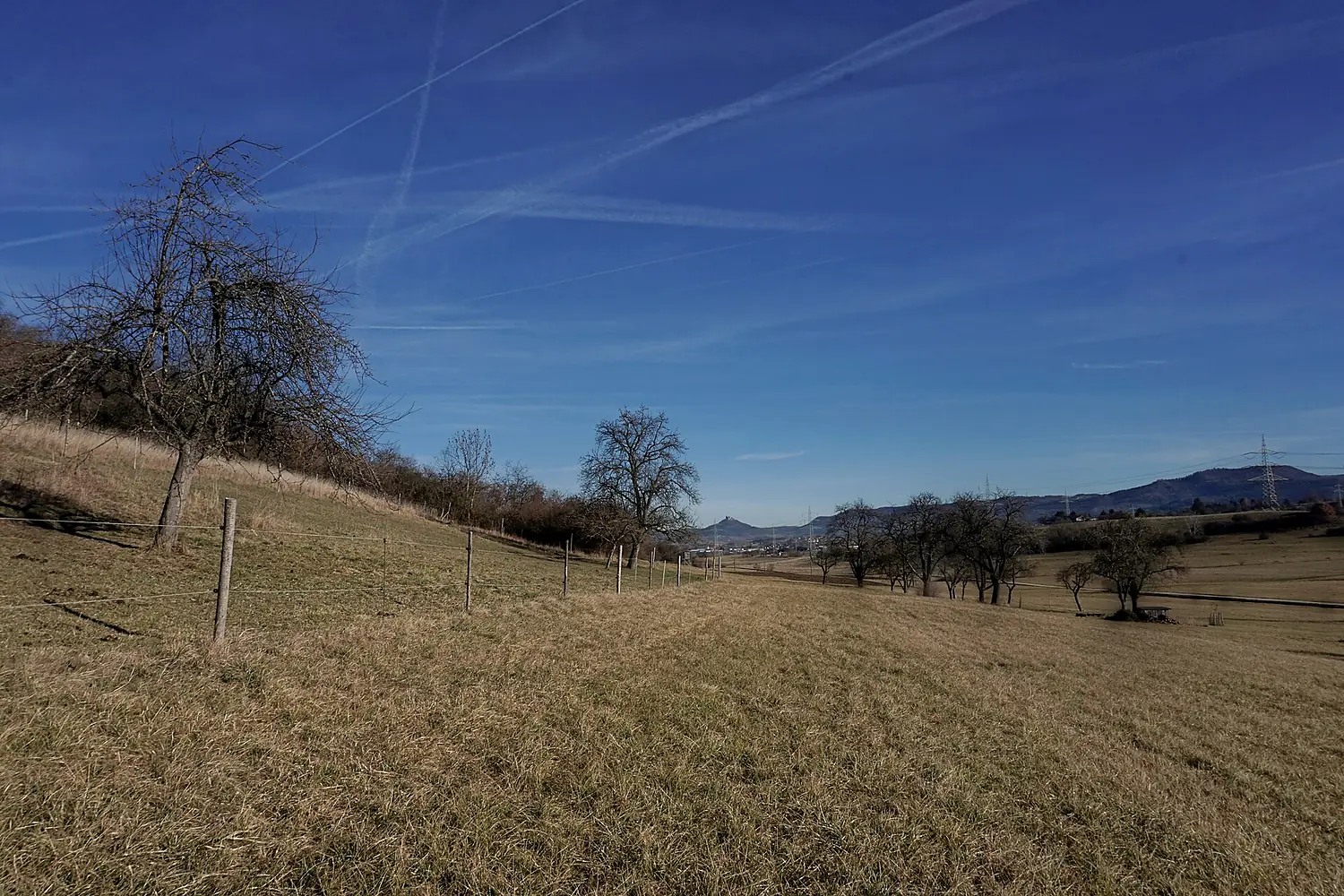 Geislingen-Wiesenlandschaft bei Balingen-DSC0479