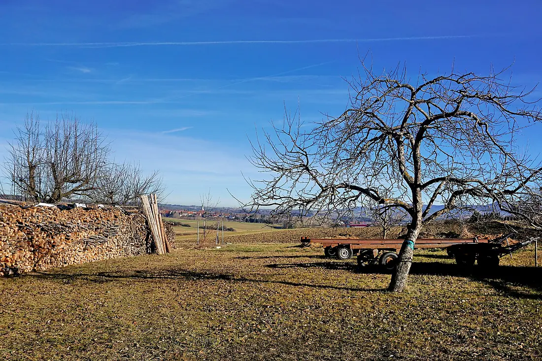 Geislingen-Wiesenlandschaft bei Balingen-DSC0451