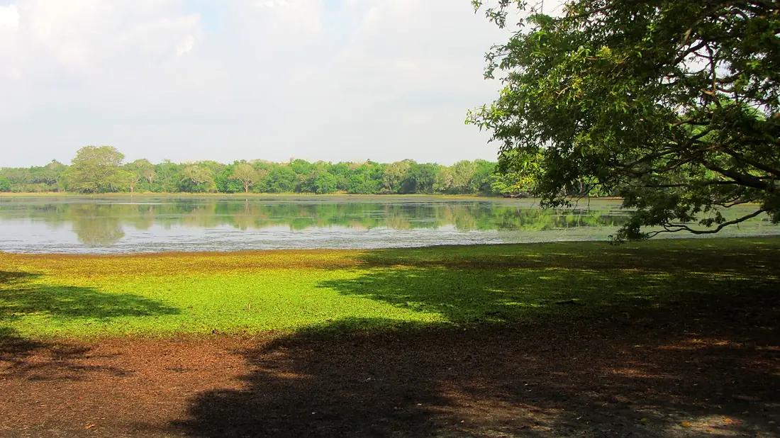 WilpattuNationalPark-April2014 (8)