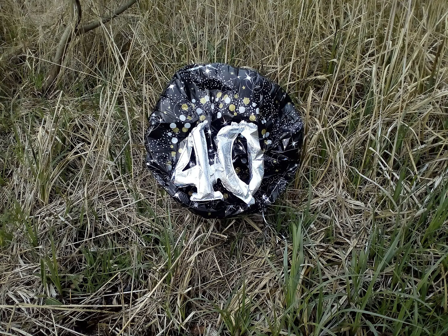 Discarded 40 balloon littering Woodwalton Fen - 2019-04-14 - Andy Mabbett