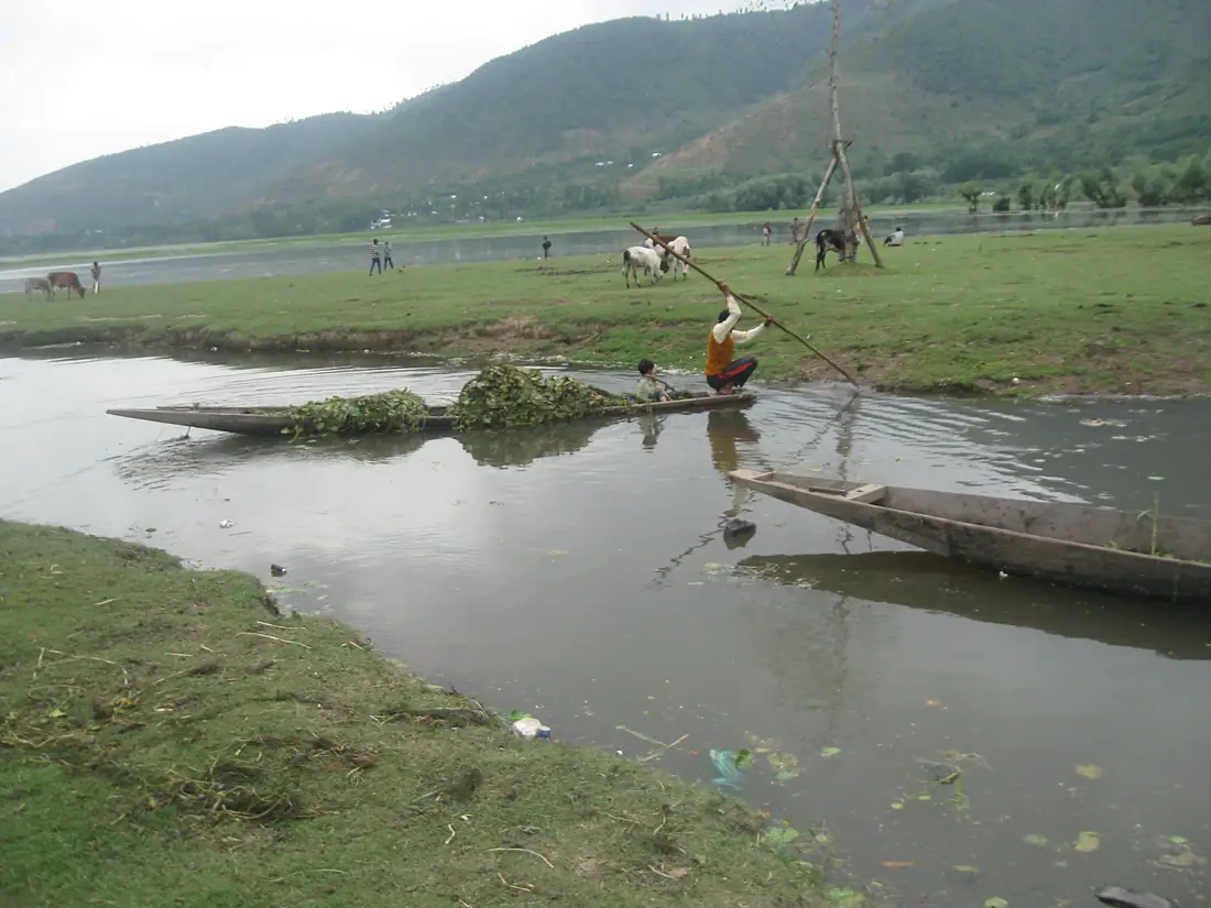 Wullar - Extraction of Aquatic Plants