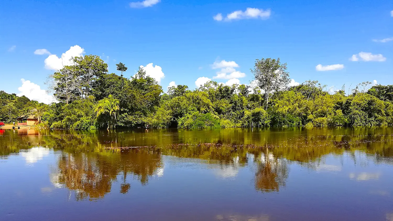 Rio Yata floreado