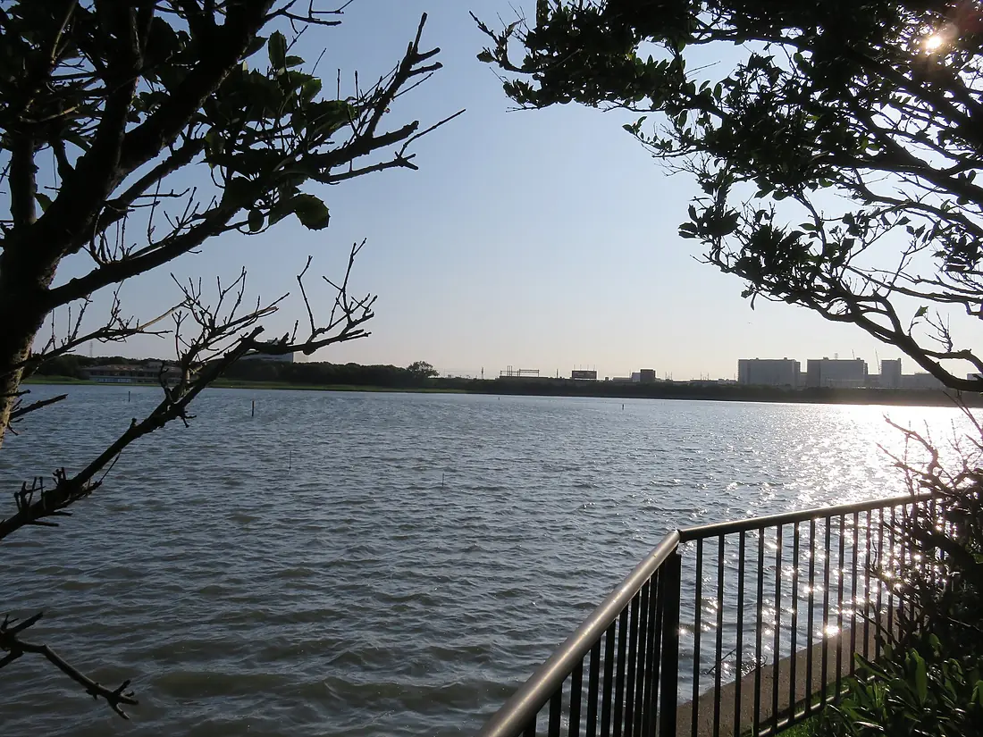 Yatsu Tidal Flat in 2020