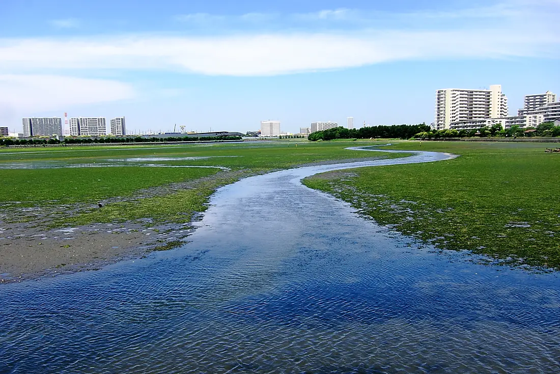 Yatsu Higata, Narashino, Chiba - Jul 10, 2010