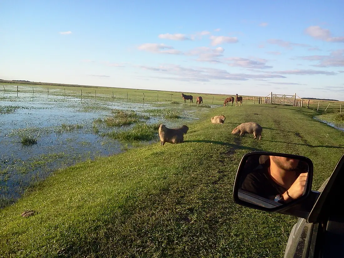 "Portal Cambyretá", Esteros del Iberá. Corrientes