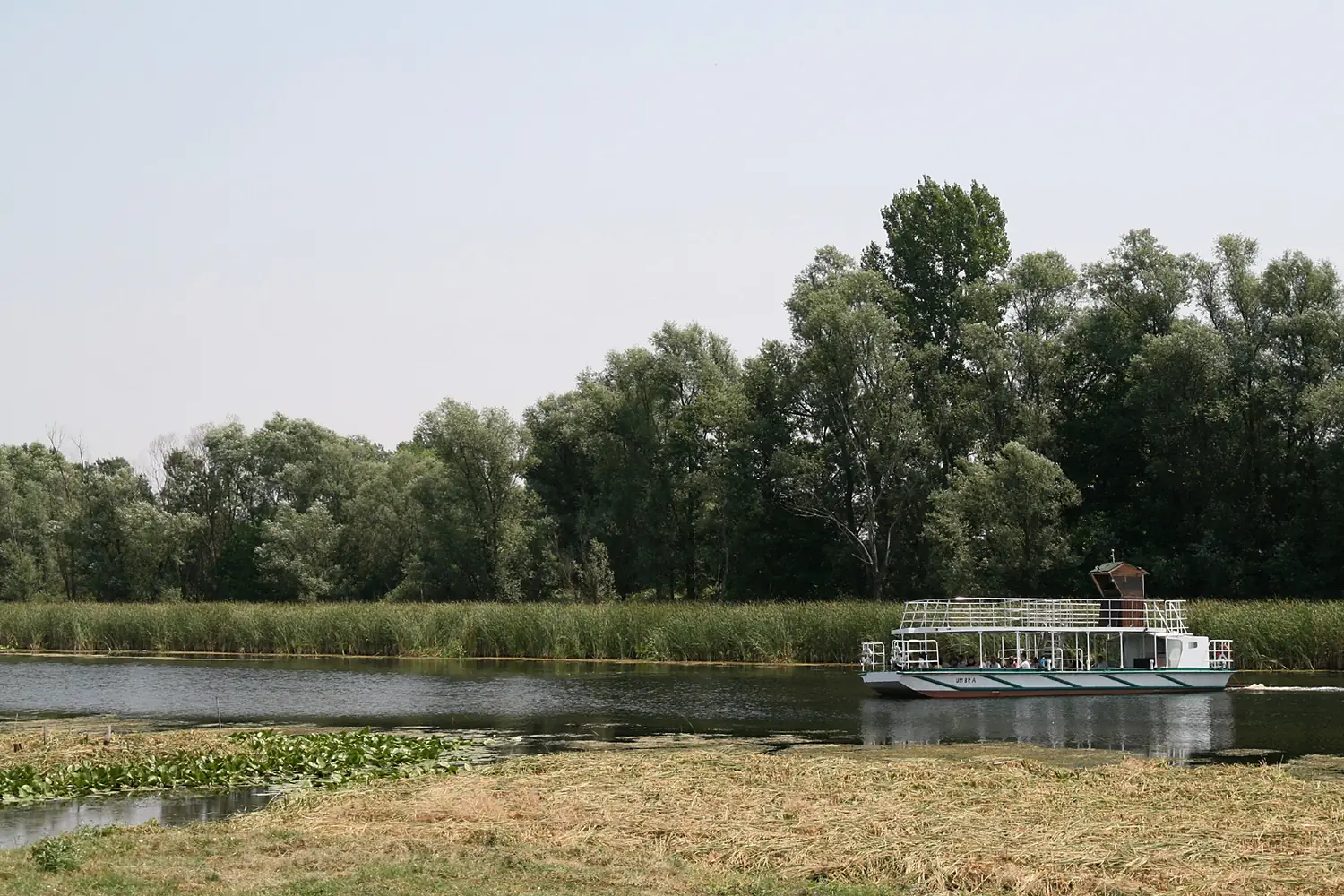 Zasavica (3)