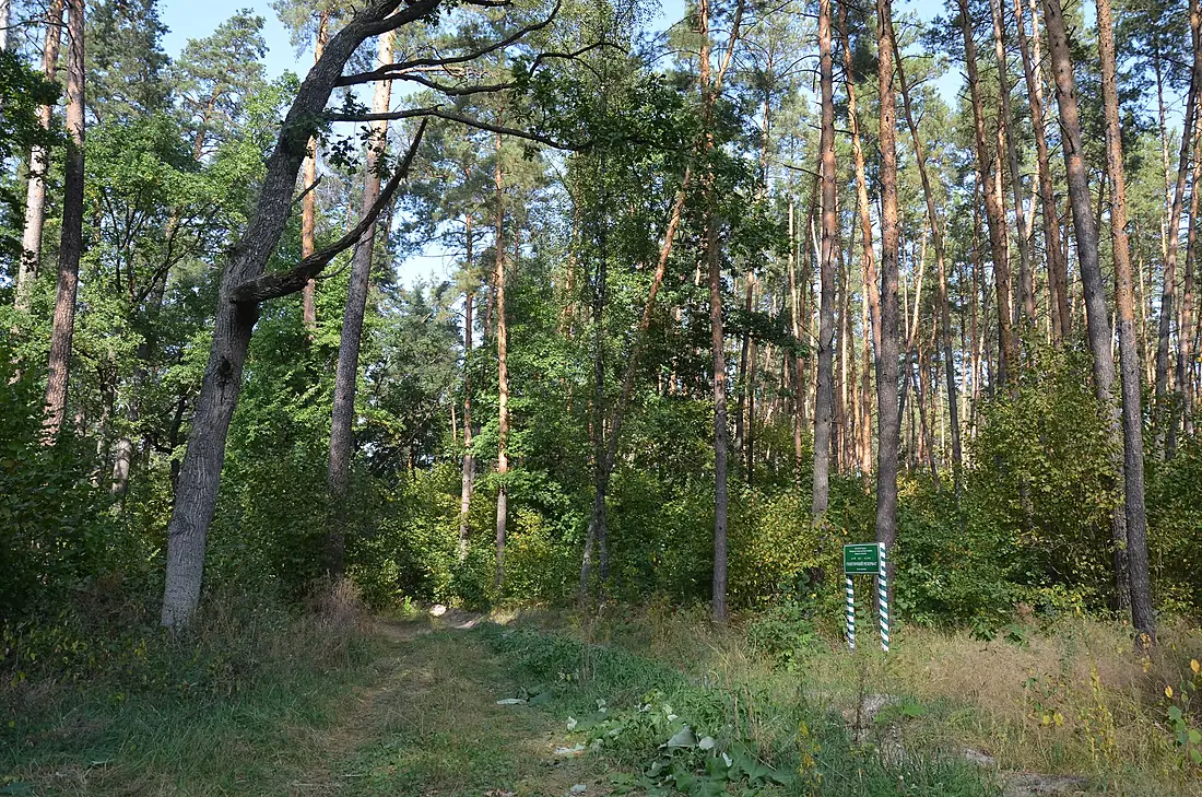 «Жорнівський», заказник 02