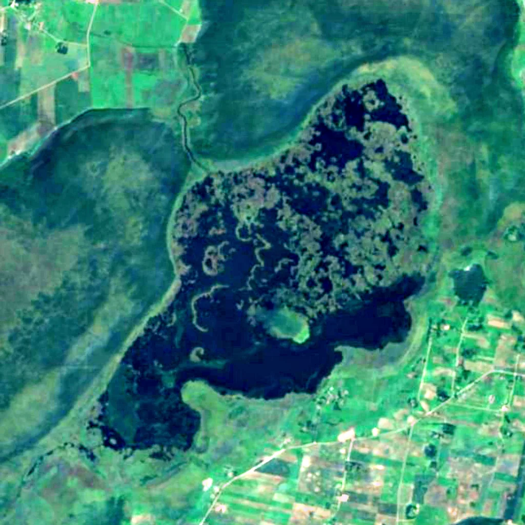 Žuvintas Lake vu d'en haut (Sentinel-2)